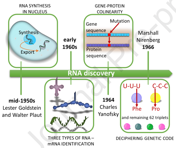 RNA discovery